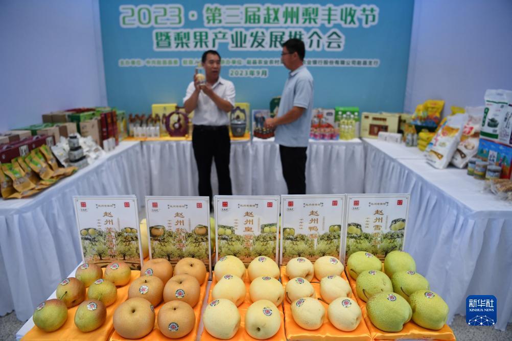 捕鱼达人海洋之心